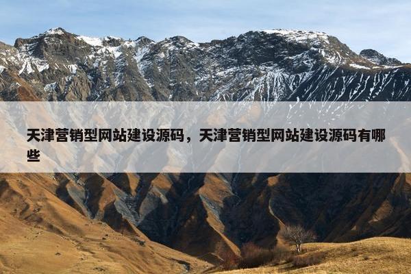 天津营销型网站建设源码，天津营销型网站建设源码有哪些