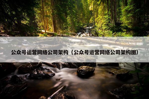 公众号运营网络公司架构（公众号运营网络公司架构图）