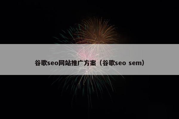 谷歌seo网站推广方案（谷歌seo sem）