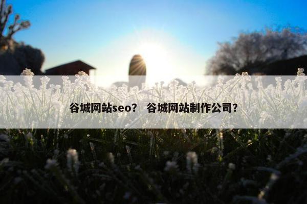 谷城网站seo？ 谷城网站制作公司？