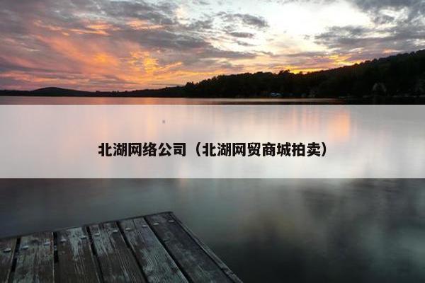 北湖网络公司（北湖网贸商城拍卖）