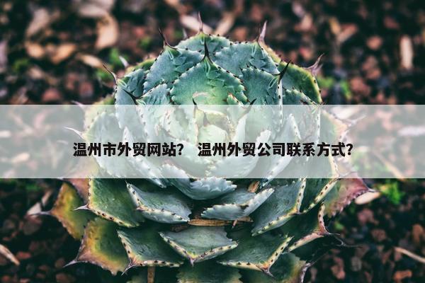 温州市外贸网站？ 温州外贸公司联系方式？
