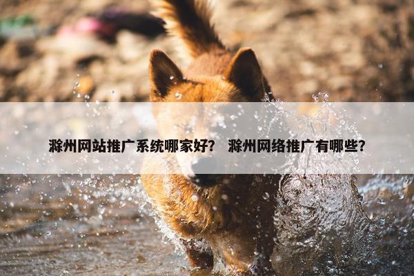 滁州网站推广系统哪家好？ 滁州网络推广有哪些？