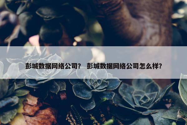 彭城数据网络公司？ 彭城数据网络公司怎么样？