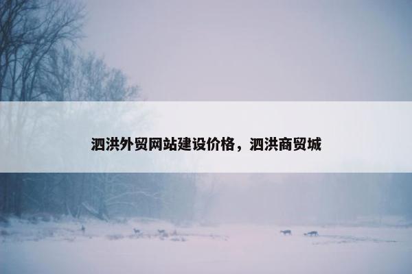 泗洪外贸网站建设价格，泗洪商贸城
