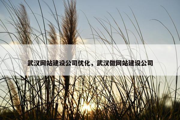 武汉网站建设公司优化，武汉做网站建设公司