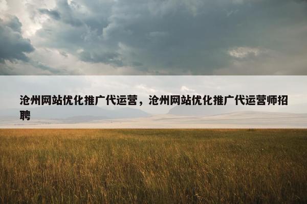 沧州网站优化推广代运营，沧州网站优化推广代运营师招聘