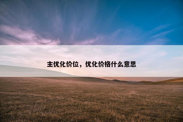 主优化价位，优化价格什么意思
