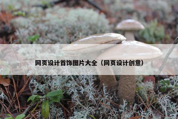 网页设计首饰图片大全（网页设计创意）