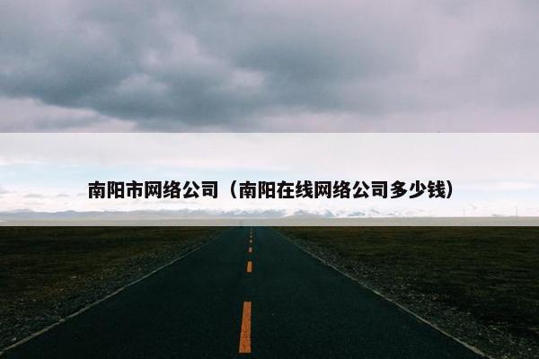 南阳市网络公司（南阳在线网络公司多少钱）