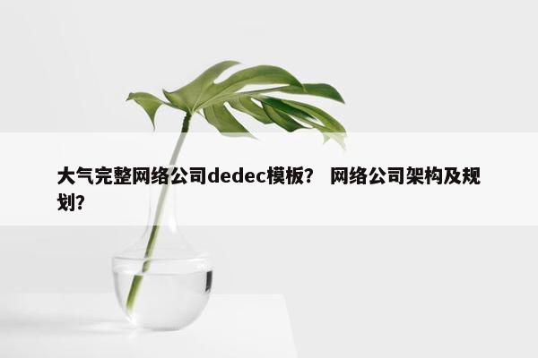 大气完整网络公司dedec模板？ 网络公司架构及规划？