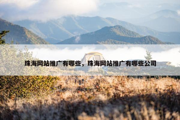珠海网站推广有哪些，珠海网站推广有哪些公司