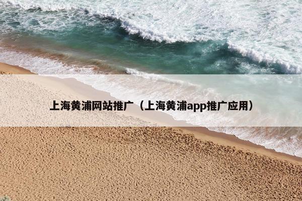 上海黄浦网站推广（上海黄浦app推广应用）