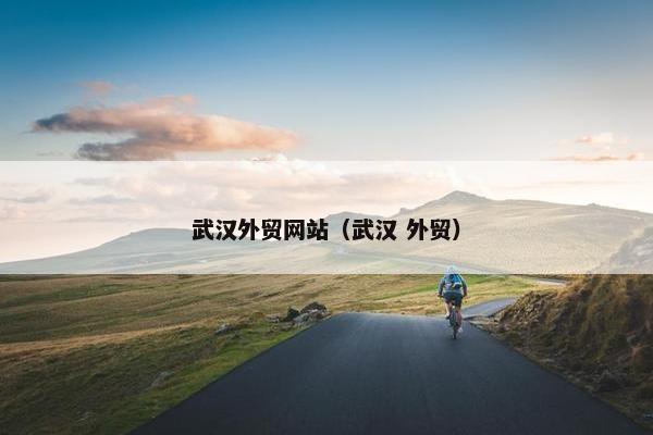 武汉外贸网站（武汉 外贸）