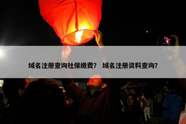 域名注册查询社保缴费？ 域名注册资料查询？