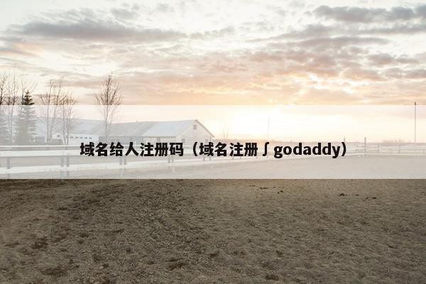 域名给人注册码（域名注册∫godaddy）
