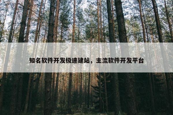 知名软件开发极速建站，主流软件开发平台