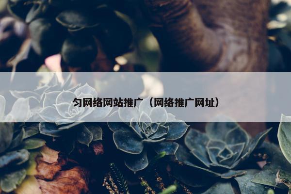 匀网络网站推广（网络推广网址）
