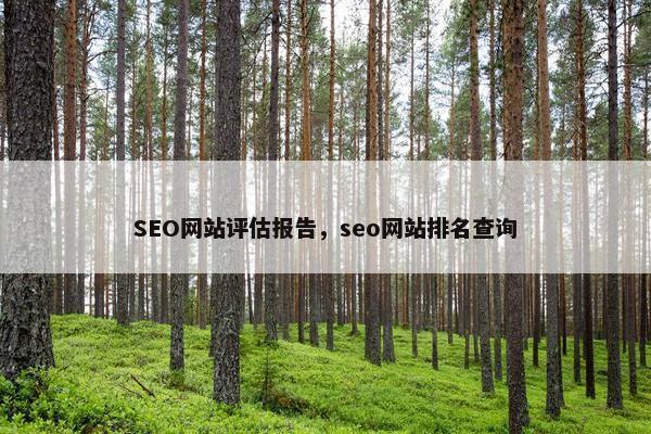 SEO网站评估报告，seo网站排名查询