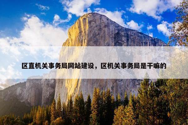 区直机关事务局网站建设，区机关事务局是干嘛的