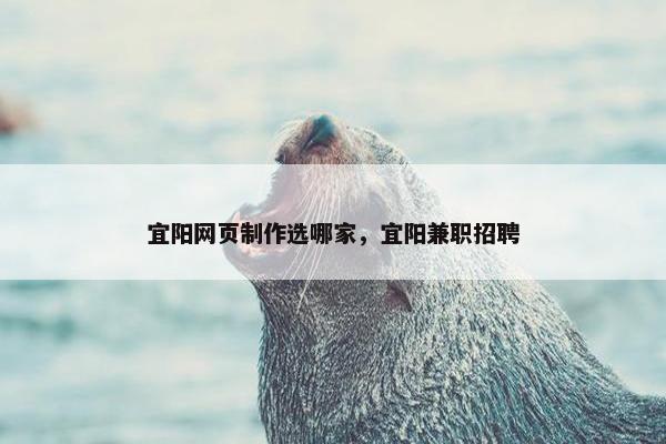 宜阳网页制作选哪家，宜阳兼职招聘