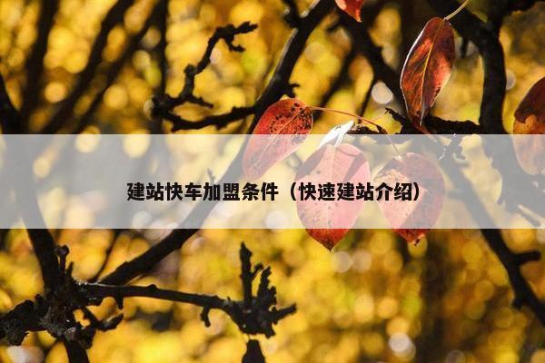 建站快车加盟条件（快速建站介绍）