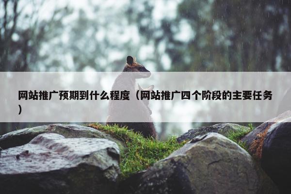 网站推广预期到什么程度（网站推广四个阶段的主要任务）