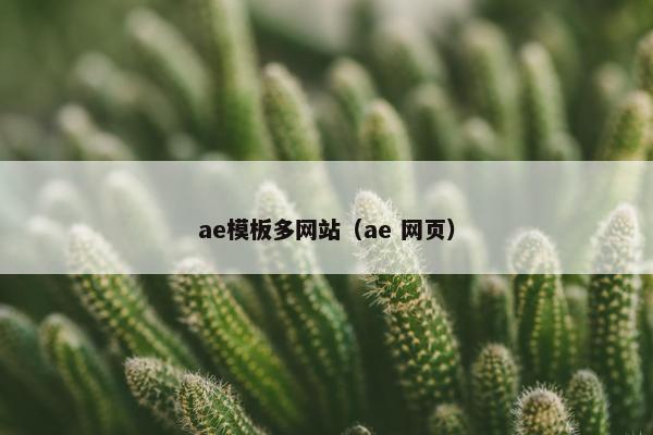 ae模板多网站（ae 网页）