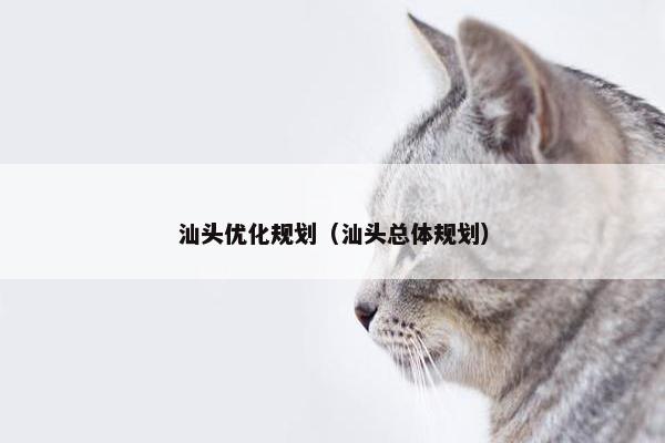 汕头优化规划（汕头总体规划）