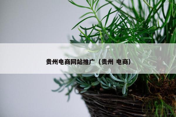 贵州电商网站推广（贵州 电商）