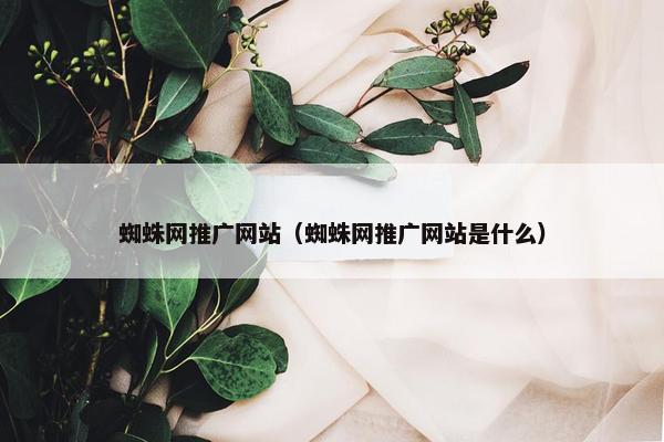 蜘蛛网推广网站（蜘蛛网推广网站是什么）