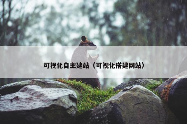 可视化自主建站（可视化搭建网站）