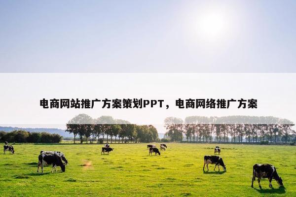 电商网站推广方案策划PPT，电商网络推广方案