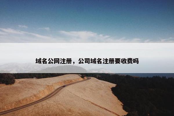 域名公网注册，公司域名注册要收费吗