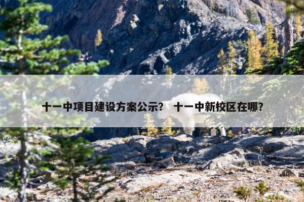 十一中项目建设方案公示？ 十一中新校区在哪？