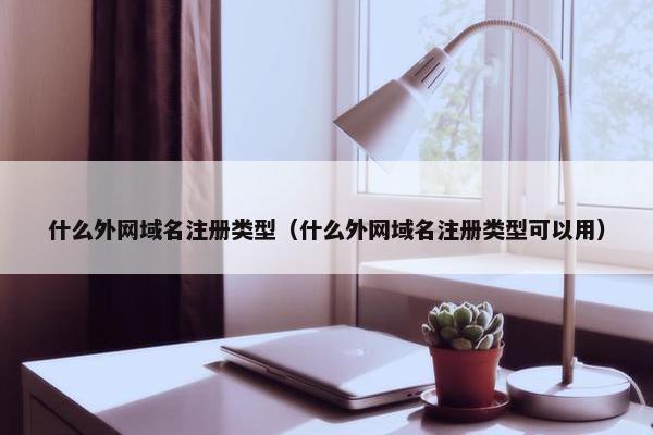 什么外网域名注册类型（什么外网域名注册类型可以用）