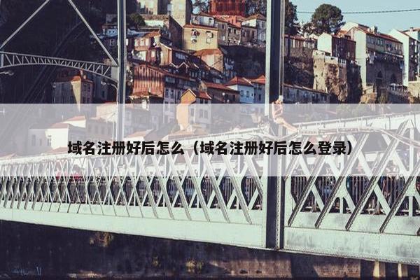 域名注册好后怎么（域名注册好后怎么登录）