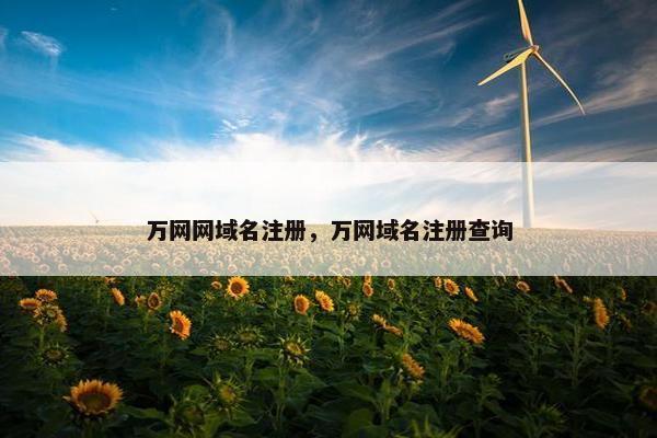 万网网域名注册，万网域名注册查询