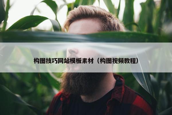 构图技巧网站模板素材（构图视频教程）