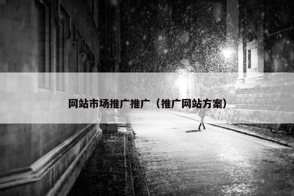 网站市场推广推广（推广网站方案）
