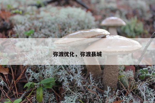 弥渡优化，弥渡县城