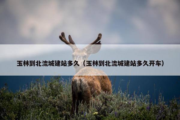 玉林到北流城建站多久（玉林到北流城建站多久开车）