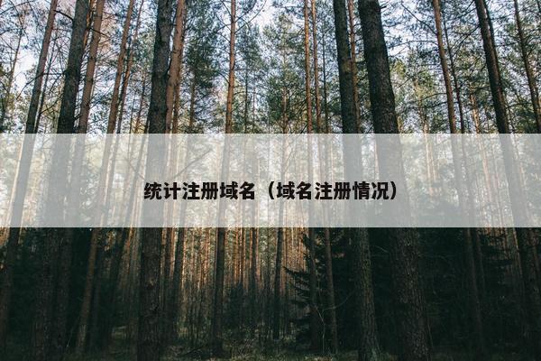 统计注册域名（域名注册情况）