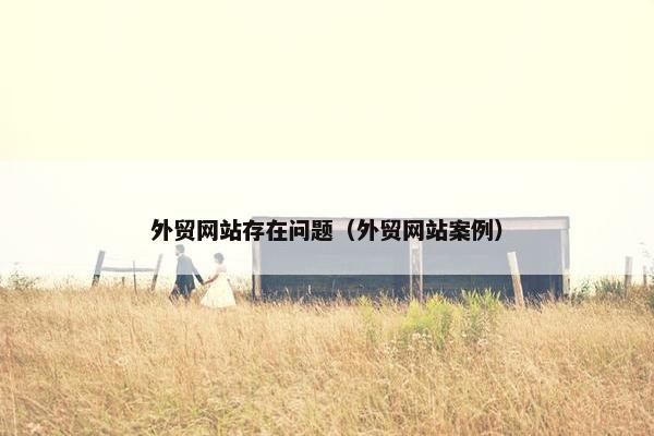 外贸网站存在问题（外贸网站案例）
