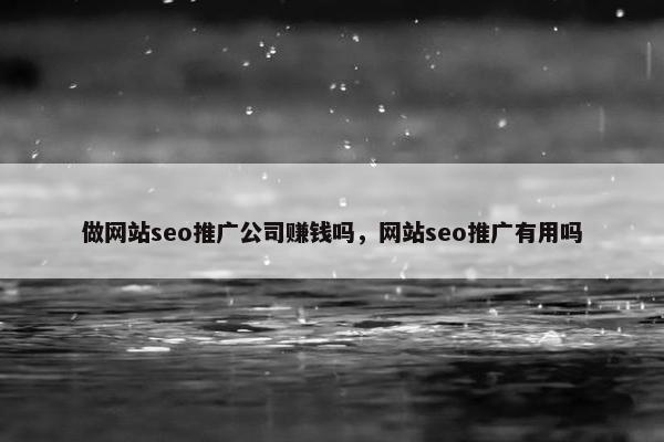 做网站seo推广公司赚钱吗，网站seo推广有用吗