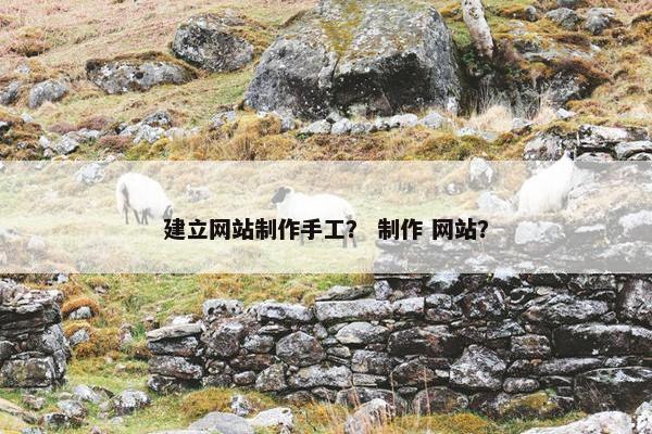 建立网站制作手工？ 制作 网站？