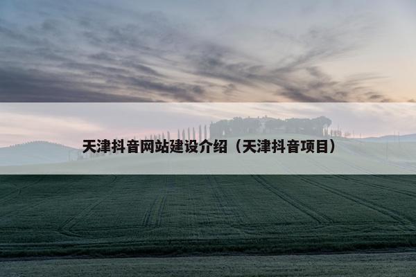 天津抖音网站建设介绍（天津抖音项目）
