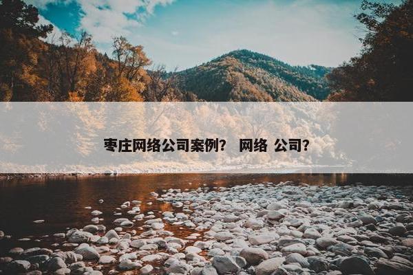 枣庄网络公司案例？ 网络 公司？