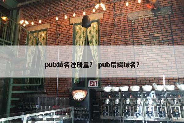 pub域名注册量？ pub后缀域名？