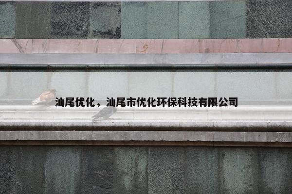 汕尾优化，汕尾市优化环保科技有限公司